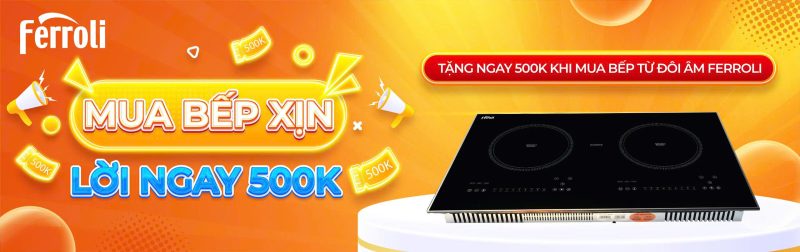 mua bếp từ tặng 500K